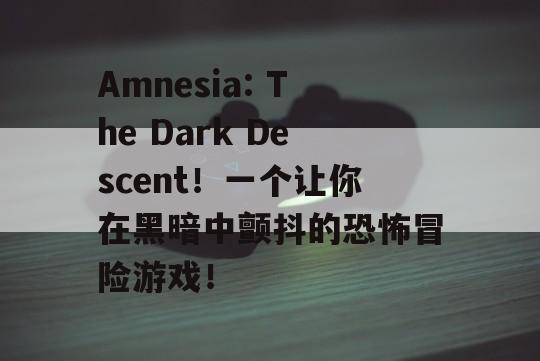 Amnesia: The Dark Descent！一个让你在黑暗中颤抖的恐怖冒险游戏！