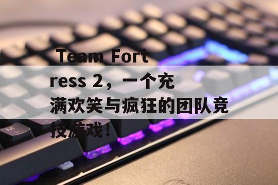  Team Fortress 2，一个充满欢笑与疯狂的团队竞技游戏！